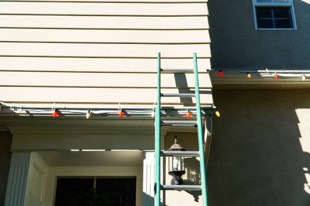 Best Vinyl Siding Installation  in Roscoe, TX